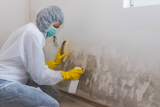Best HVAC Mold Remediation in Galena, OH